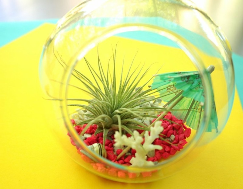 pflanze terrarium diy glaskugel gestaltung deko idee wohnung arrangement
