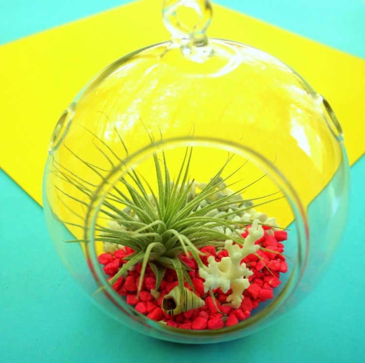 pflanze terrarium diy idee arrangement inspiration tropisch urlaub
