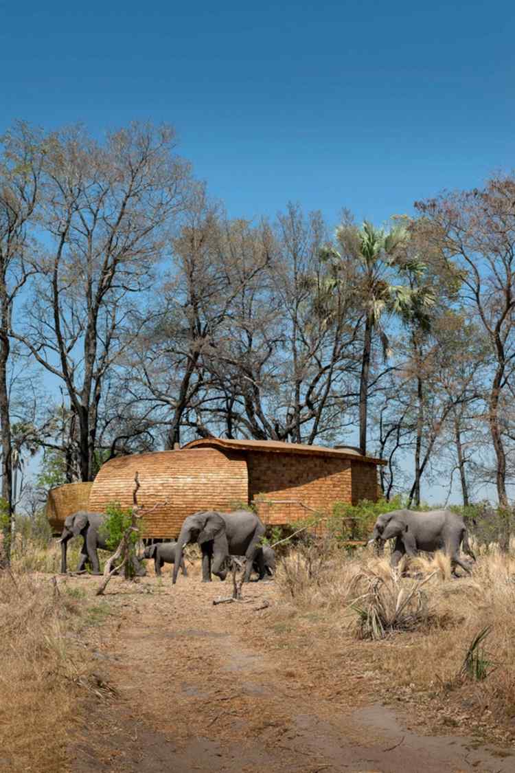 safari huette aus treibholz ferienhaus idee design natur elefanten