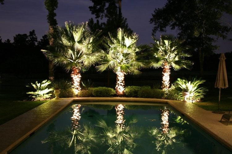 beleuchtung garten palmen idee pool sonnenschirm buesche