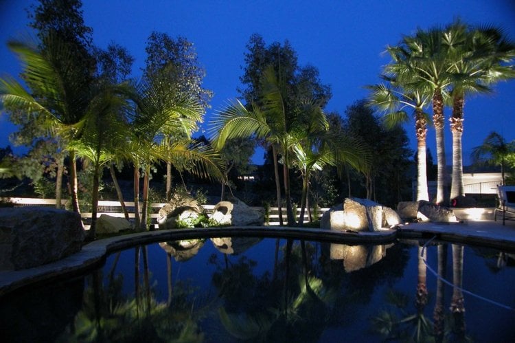 beleuchtung garten palmen landschaft poolbereich steine