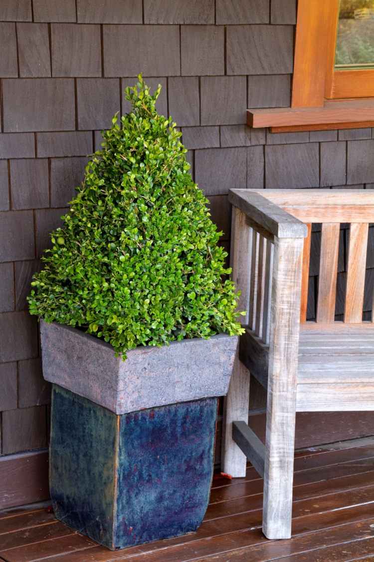 buchsbaum garten kegel form pflanzkuebel holzbank veranda deko