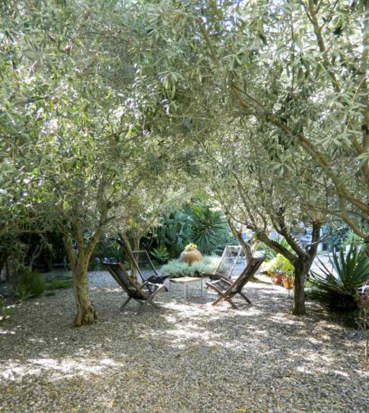 Mediterrane Gartengestaltung -lavendel-schatte-kies-olivenbaeume-klappstuehle-holz-tisch