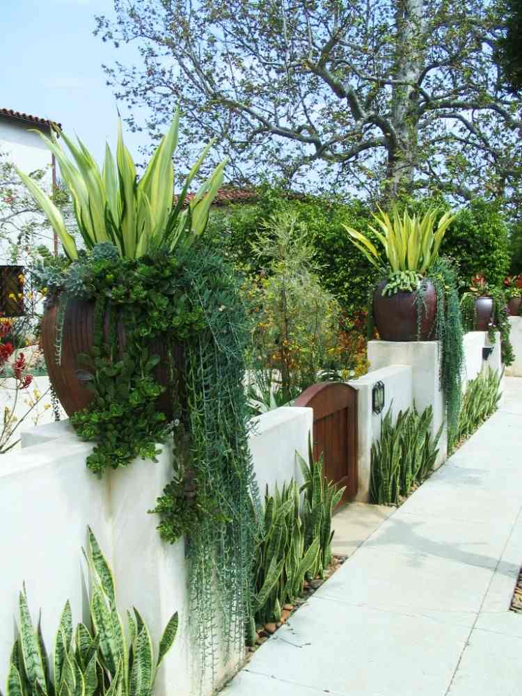 Mediterrane Gartengestaltung -modern-zaun-haustuer-pflanzen-agave-kuebel-weiss-braun