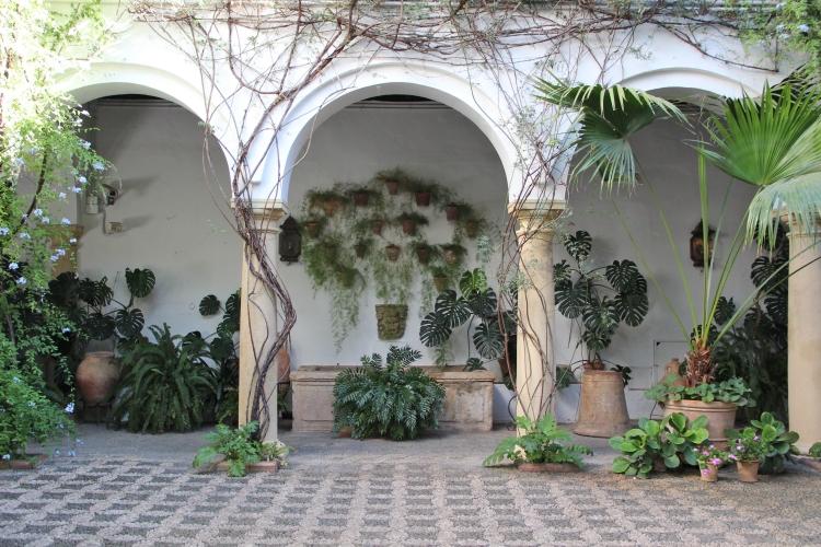 mediterrane-gartengestaltung-palmen-klettepflanzen-saeulen-stein-antik