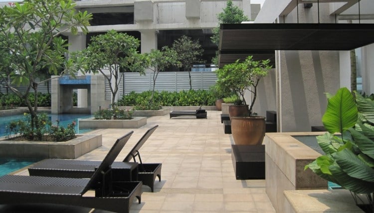 Mediterrane Gartengestaltung -schwimmbad-liegen-feigen-baeume-palmen-pflanzen-olivenbaeume