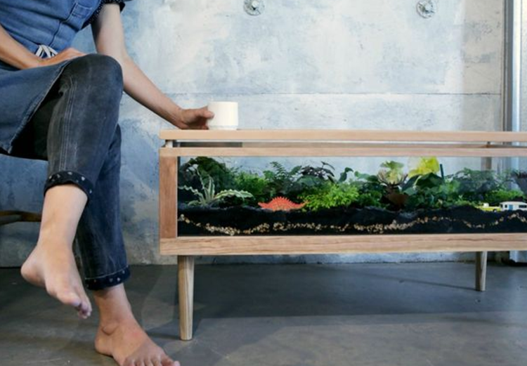 moebel terrarium sofa tisch idee holz gestell beton wand