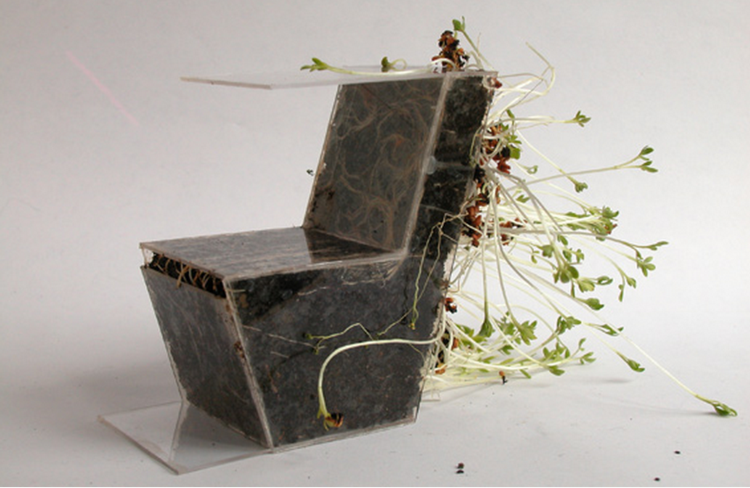 moebel terrarium stuhl glas erde pflanzen rueckenlehne