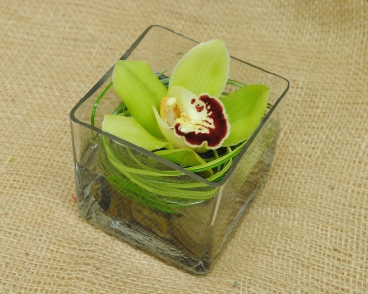 orchideen deko und arrangements cymbidium gruen farbe wasser