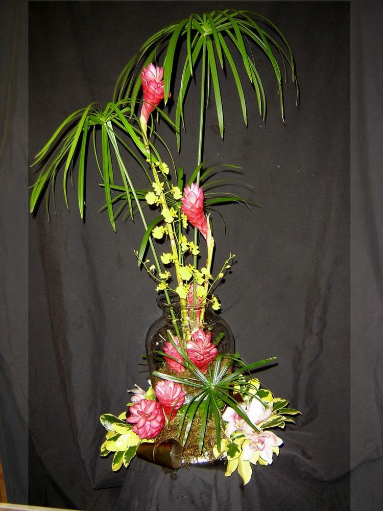 orchideen deko und arrangements exotisch oncidium palme rosa blueten