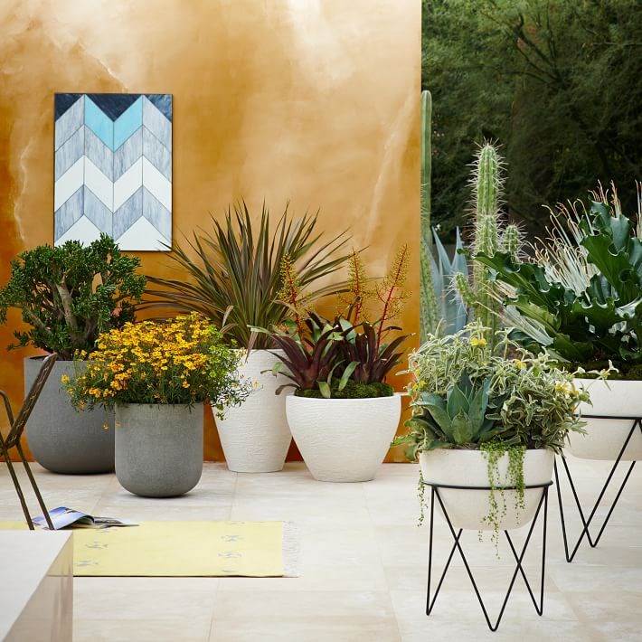 Pflanzen in Töpfen und Kübeln terrasse-betonoptik-weiss-keramik