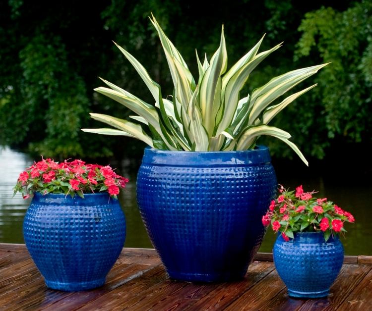pflanzen-topfen-kubeln-terrasse-blau-rundlich-unterschiedliche-groessen