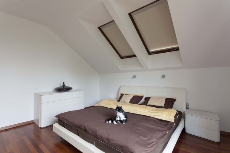 rollos-dachfenster-schlafzimmer-katze-bett-weiss-modern-laminatboden