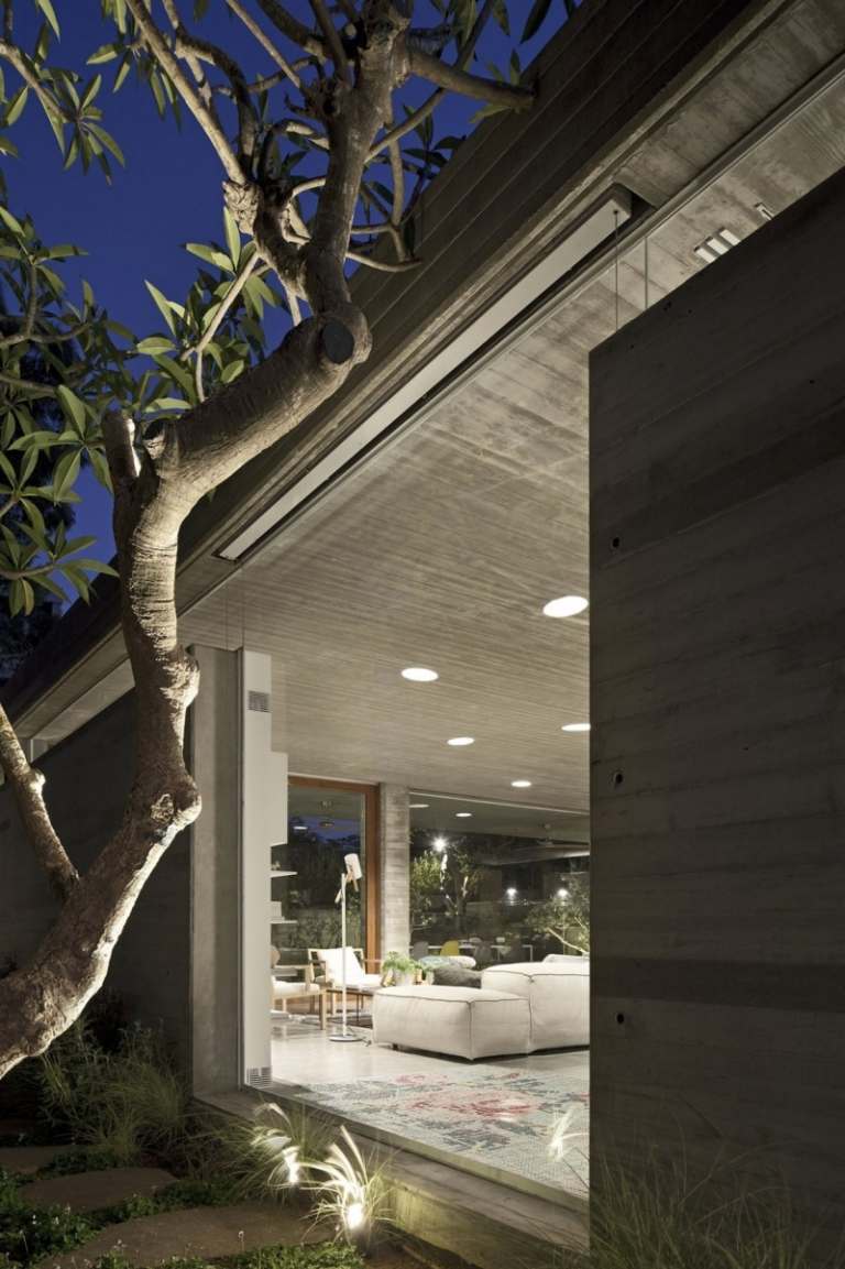 Sichtbeton innen -aussen-haus-fensterwand-wohnzimmer-eykaliptusbaum