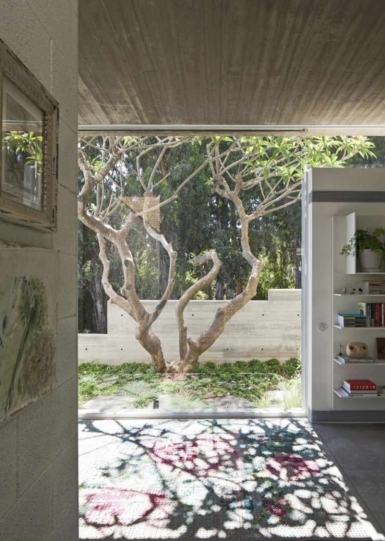 Sichtbeton innen -eukalyptusbaum-teppich-muster-sonne-licht-schatten