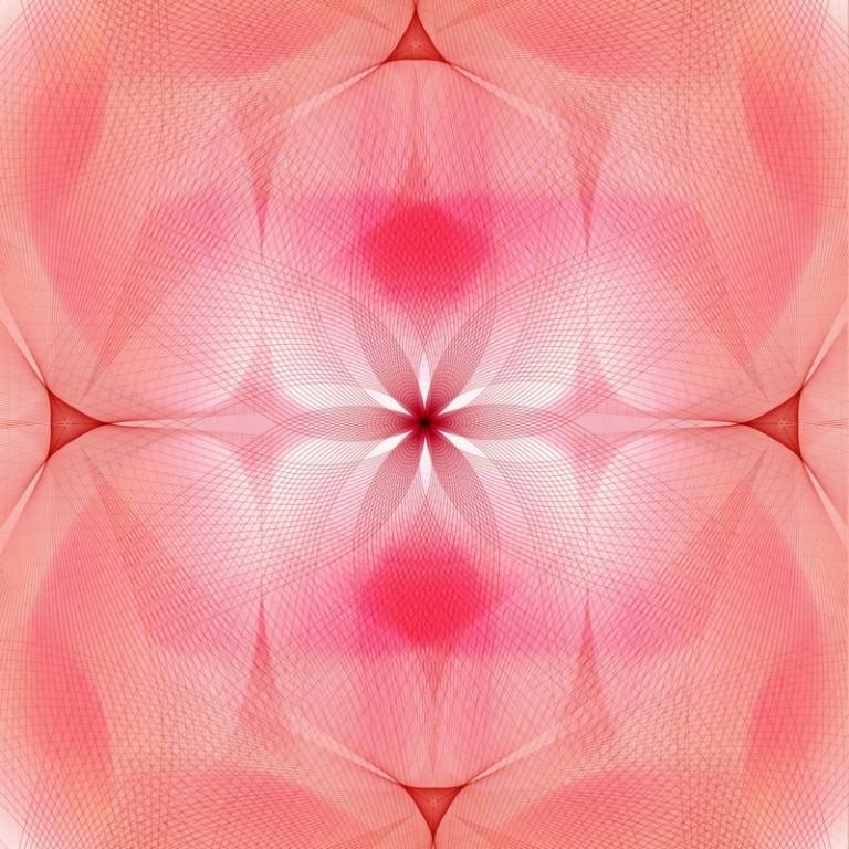 teppich-design-spiroflower-kollektion-hersteller-rosa-symmetrie-linien
