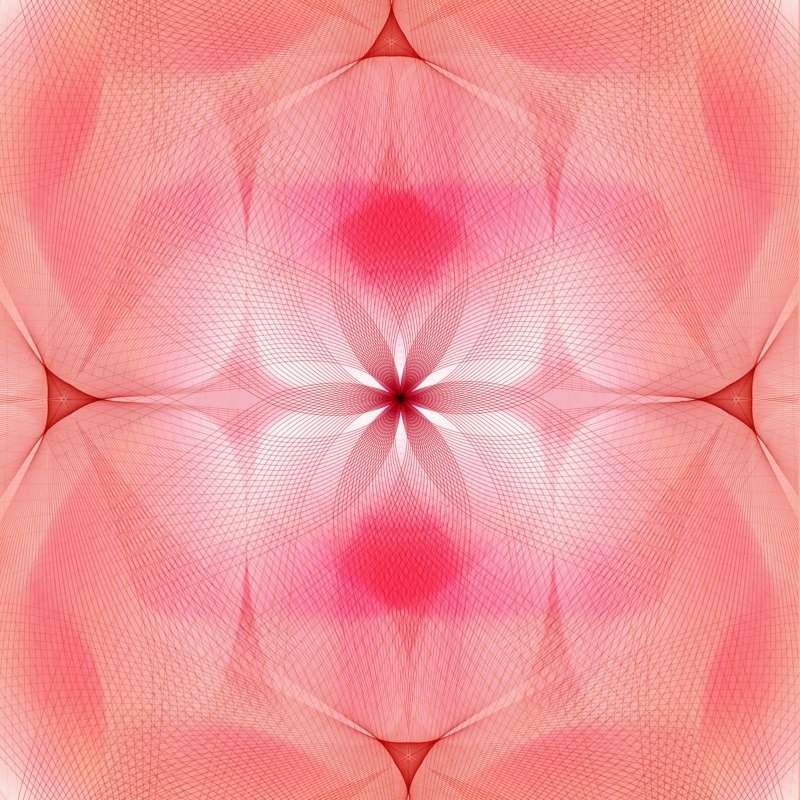 teppich-design-spiroflower-kollektion-hersteller-rosa-symmetrie-linien