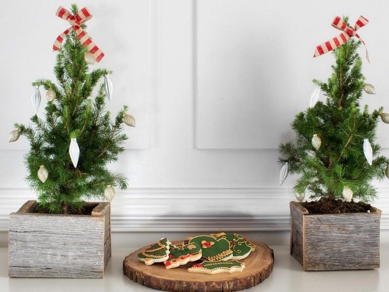 Basteln-Erwachsene-Weihnachten-Tannenbaum-Topf-dekorieren-Tischdeko