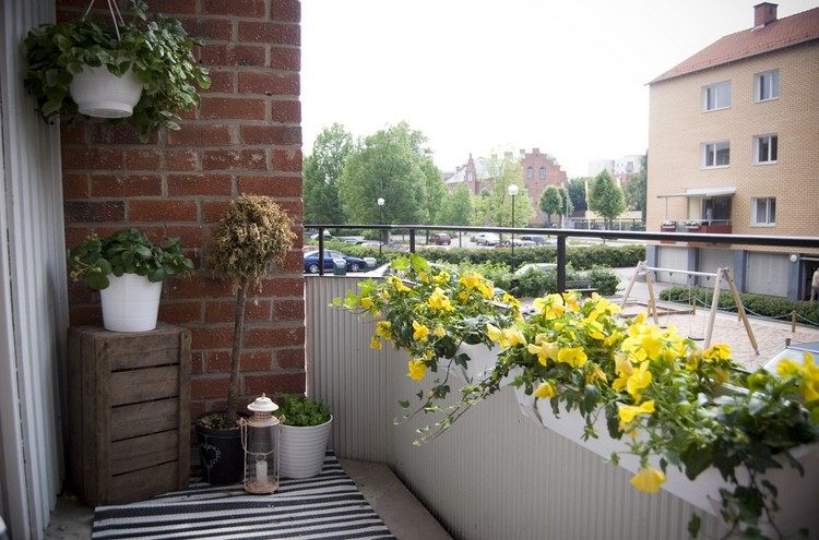 balkon-gestalten-tipps-weisse-blumenkasten-gelb-bluhende-pflanzen