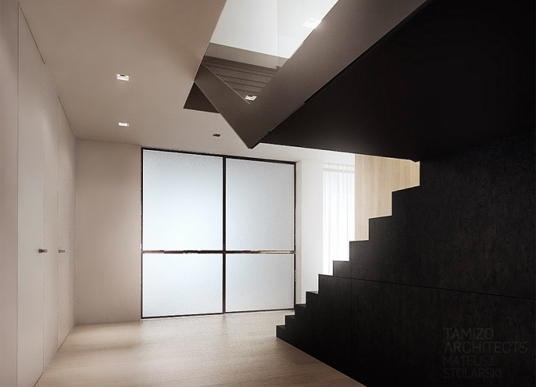 moderne-innenarchitektur-minimalistisch-treppe-schwarz-weiss-stilvoll-plock-tamizo