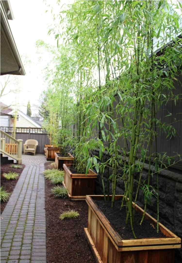 pflanzkuebel-holz-bambus-holzkisten-outdoor-garten-erde-pfad