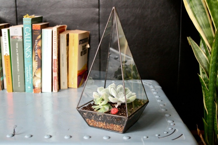 sukkulenten arrangement terrarium idee kaktur spitz beistelltisch