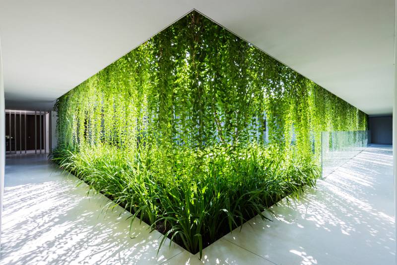 vertikaler-Garten-Sichtschutz-Glas-Kletterpflanzen-Ideen-modern