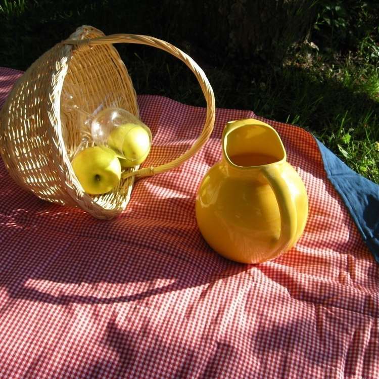 wasserdichte-picknickdecke-raiert-kanne-gelbe-korb-aepfel-glaeser