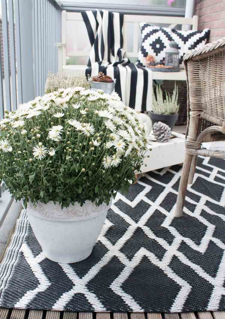 balkon-herbstlich-dekorieren-beispiel-weisse-chrysanthemen-schwarz-weisser-outdoor-teppich