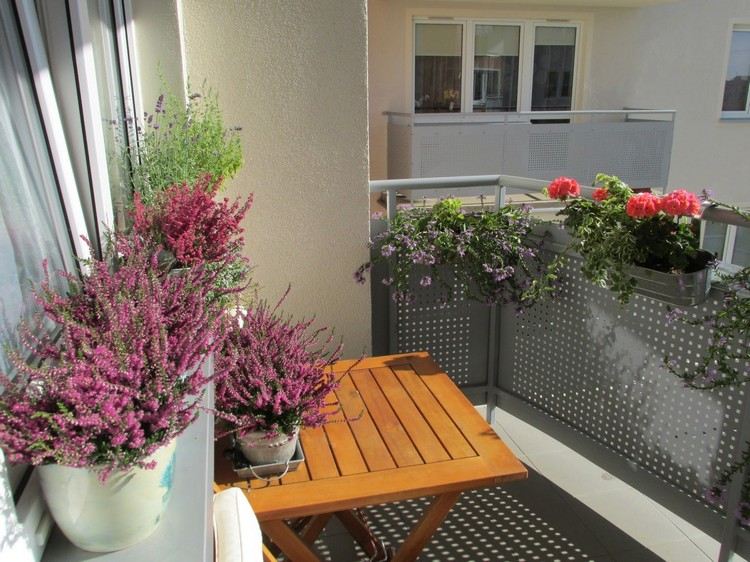 balkon-herbstlich-dekorieren-heide--pink-lavendel