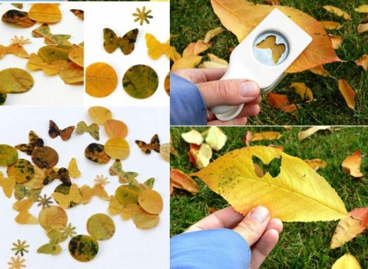 Fensterdeko im Herbst -kinder-basteln-echte-herbstblaetter-ausstanzer-natuerlich-idee