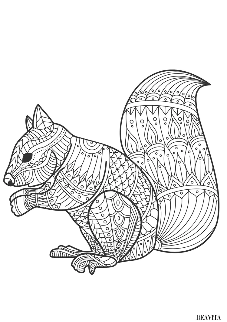 herbst mandala zum ausdrucken kostenlos eichhörnchen