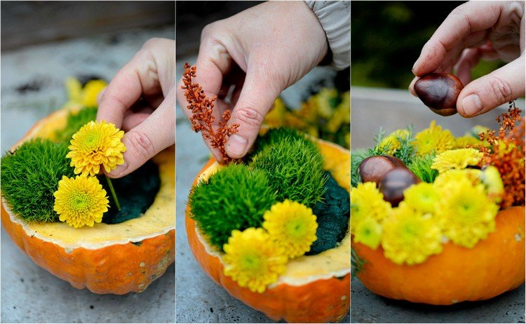 Herbstdeko mit Kürbissen selber-machen-gesteck-moos-chrysanthemen