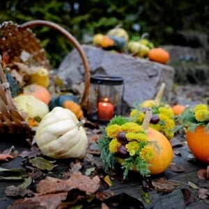 Herbstdeko mit Kürbissen