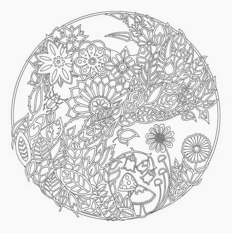 mandalas-herbst-ausdrucken-ausmalen-kinder-malvorlage-blumen-pflanzen