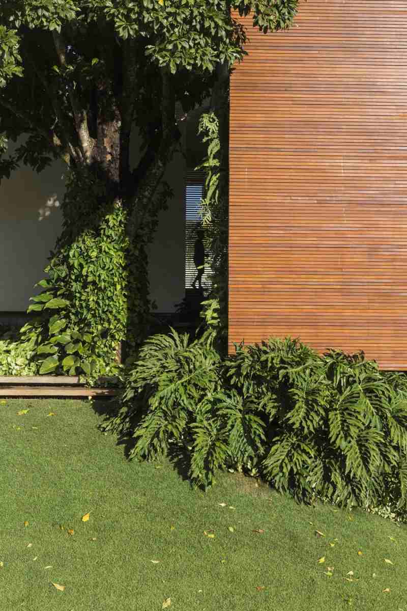 Moderne Gartengestaltung -holzfassade-farne-rasen-palmen-baum-efeu-eingang