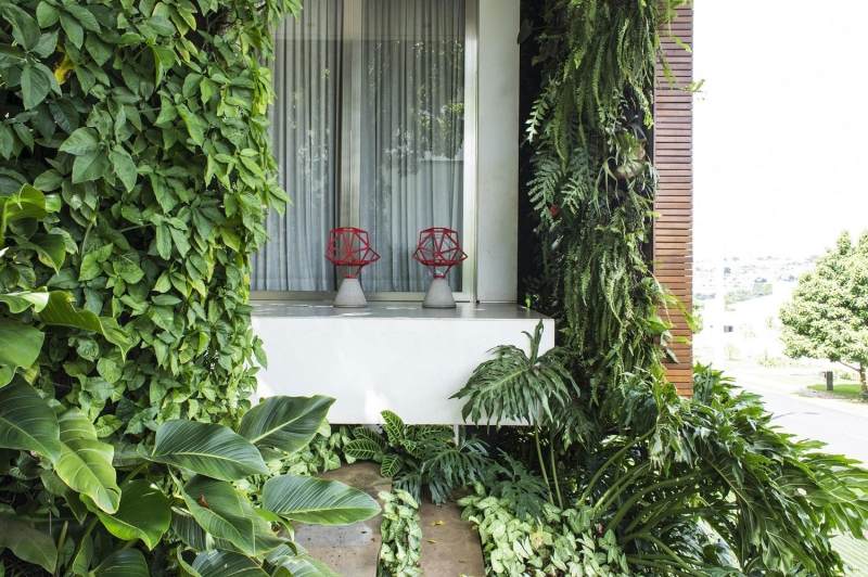 moderne-gartengestaltung-holzfassade-kletterpflanzen-palmen-bodendecker-fenster-haus-terrasse