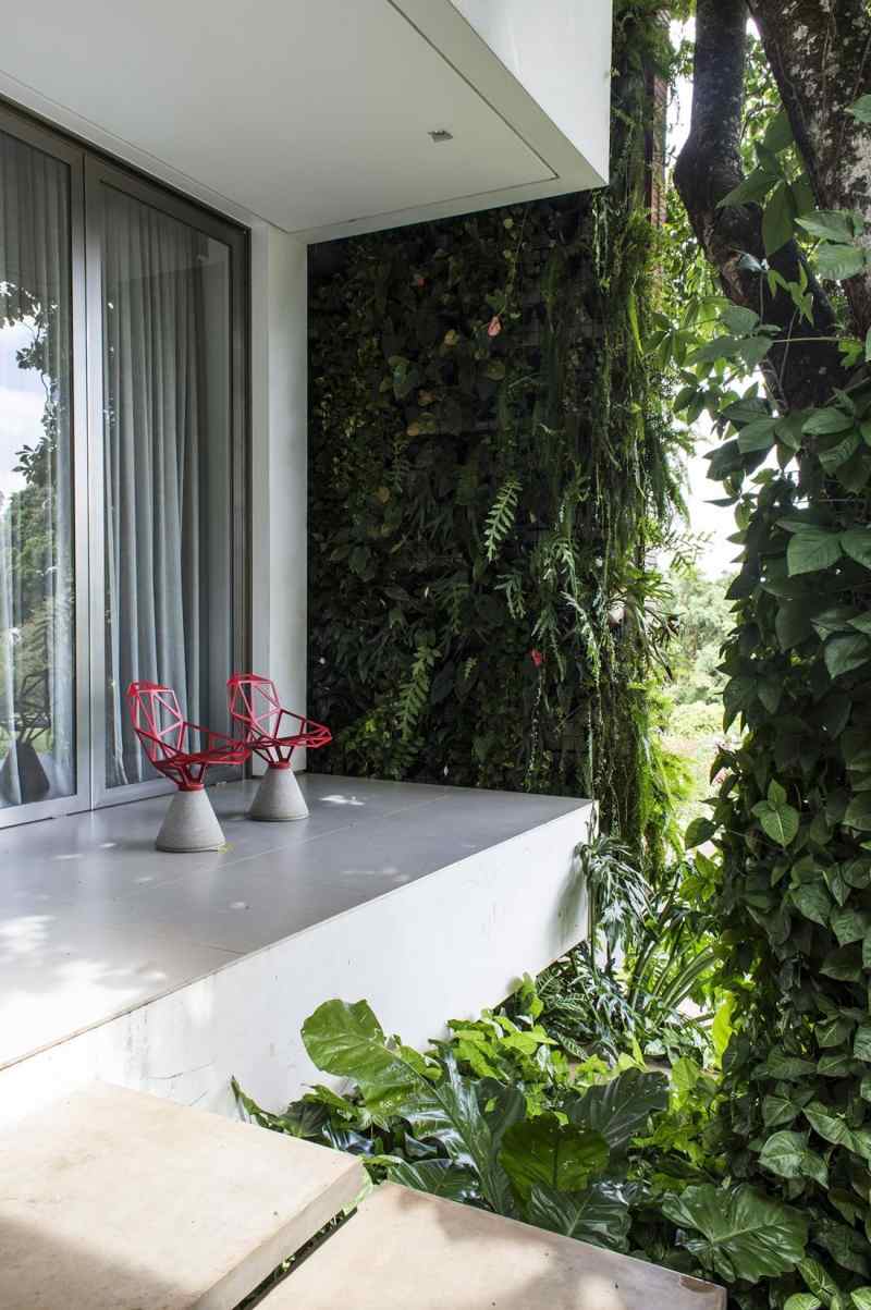 moderne-gartengestaltung-holzfassade-kletterpflanzen-terrasse-stuehle-terrassentueren-gardinen-palmen-farne