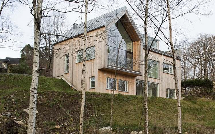 moderne-holzfassade-haus-laerche-kjellgren-kaminsky-architecture