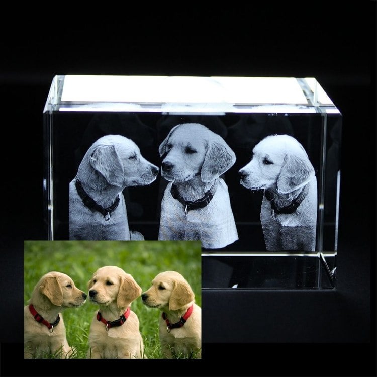 originelle-ausgefallene-fotogeschenke-3d-glas-hunde-foto-realistisch