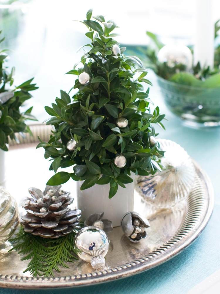 Tischdeko zu Weihnachten -silber-gruen-tablett-zapfen-perlen-glaskugeln-kleine-pflanze