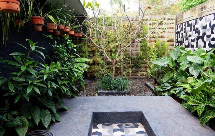 Vertikaler Garten -outdoor-pflanzen-baum-mittig-beton-palmen-pflanzen