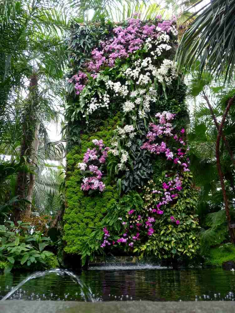 vertikaler-garten-outdoor-prachvoll-bluehde-pflanzen-tropisch-exotisch