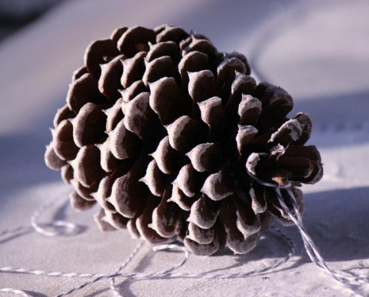weihnachtsdeko-selber-basteln-naturmaterialien-christbaumschmuck-zapfen-gefroren-effekt-diy