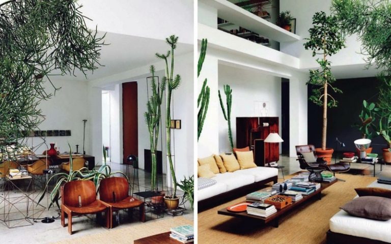 dekorieren wohnzimmer exotisch ideen pflanzen ueppig moebel modern