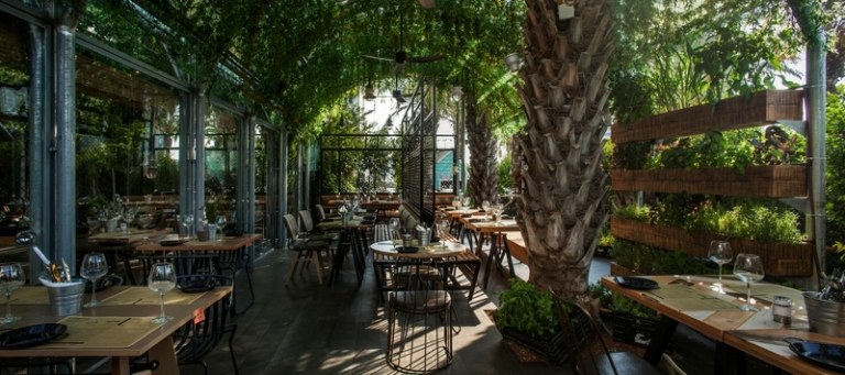 gewürz gartengestaltung im restaurant palme idee deko outdoor cafe