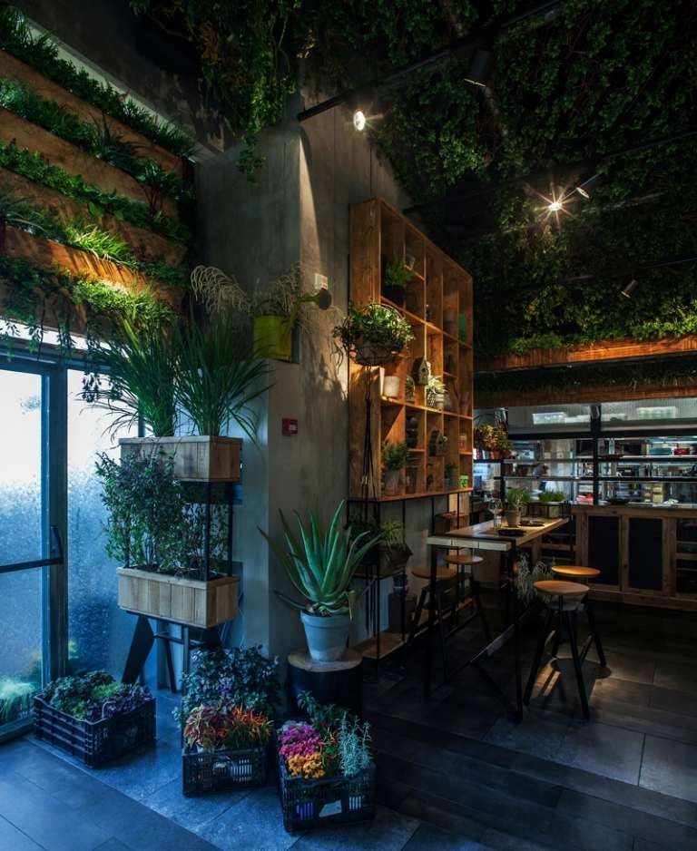 gewuerz gartengestaltung restaurant deko pflanzen aloe vera buntnessel