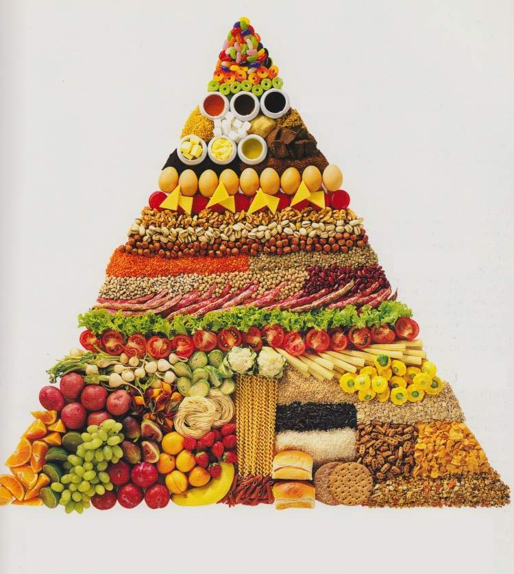 Herbst Rezepte vegetarisch-lebensmitteln-pyramide-nahrstoffe-gemuese-kohlenhydrate