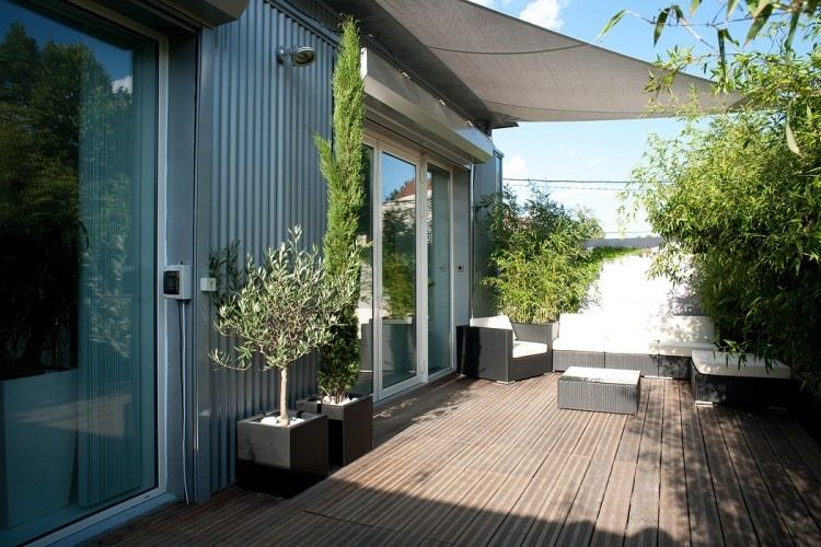 moderne-terrassenuberdachung-ideen-sonnensegel-bambusplfanzen-sichtschutz
