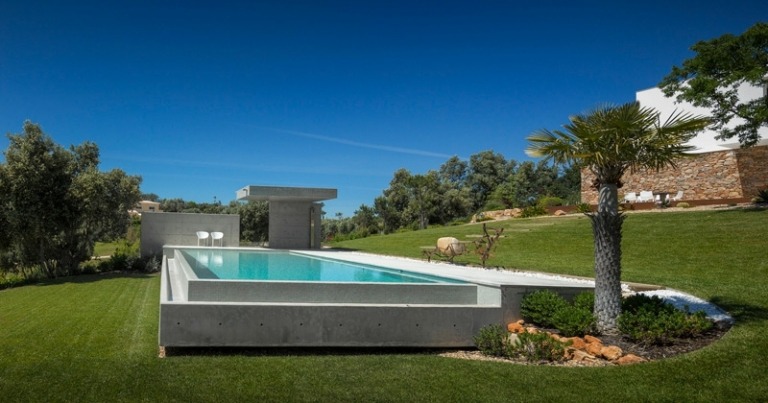 pool beton infinity stil palme modern gartengestaltung
